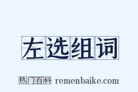 左选组词是什么意思的图片